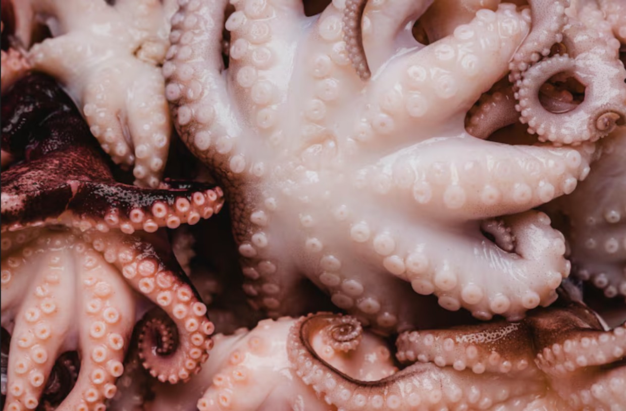 Раз в год можно: готовим кальмаров, как в ресторане — близкие за новогодним столом поперхнутся от удовольствия, так это вкусно