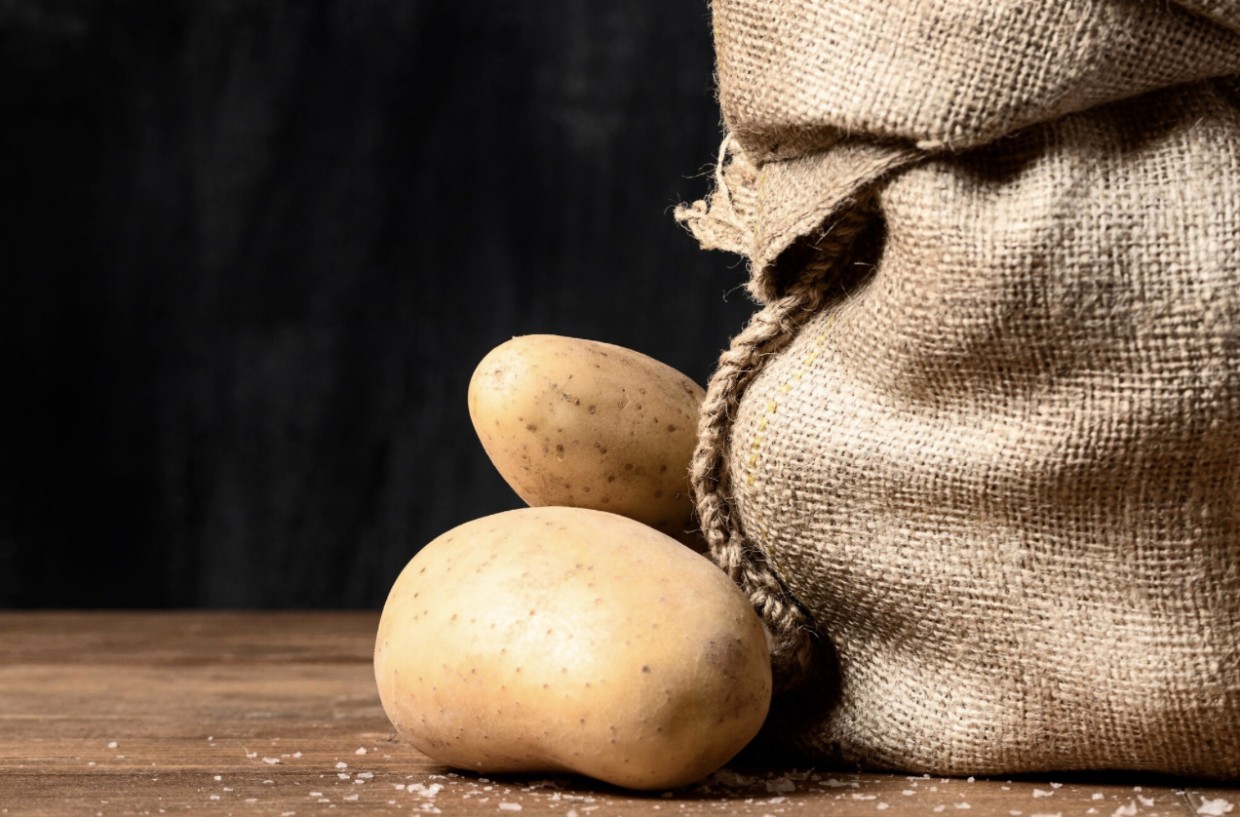 Картошка троицу любит: этот метод из СССР забыли незаслуженно — простой лайфхак Балабанова подарит вам урожай картофеля в 3 раза больше обычного