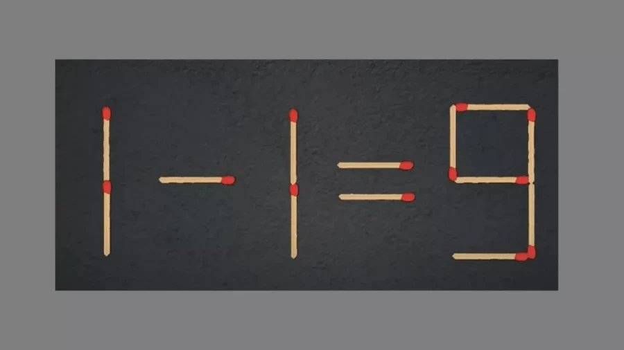 Стимулируй его полностью: этот орган нуждается в вашем внимании и трепете — высокий интеллект это сексуально