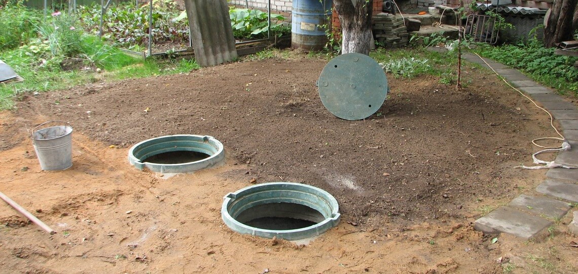 Если нет септика: мучений от выгребной ямы будет сильно меньше — просто посадите эти деревья