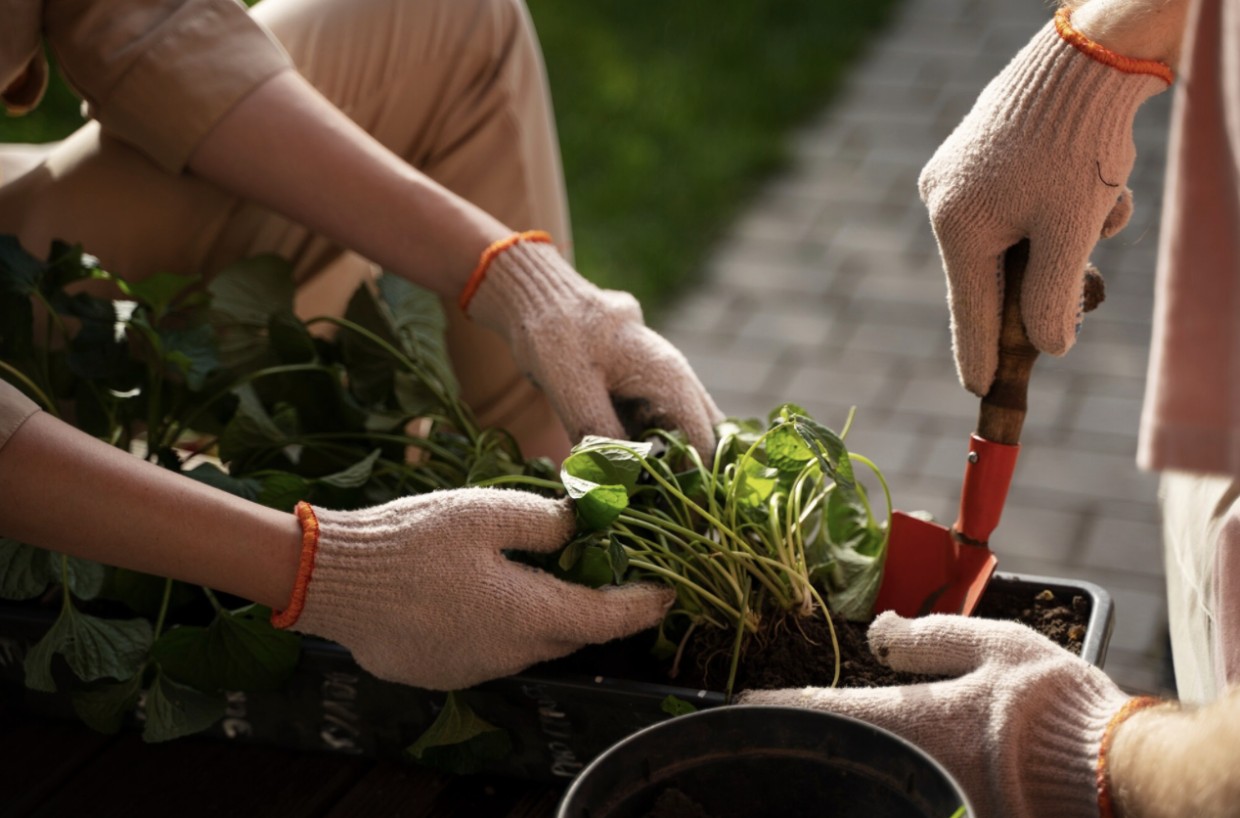 Вам это не нужно: вот 3 типа работ в огороде, которые все делают в ноябре — а на самом деле они совершенно бесполезны