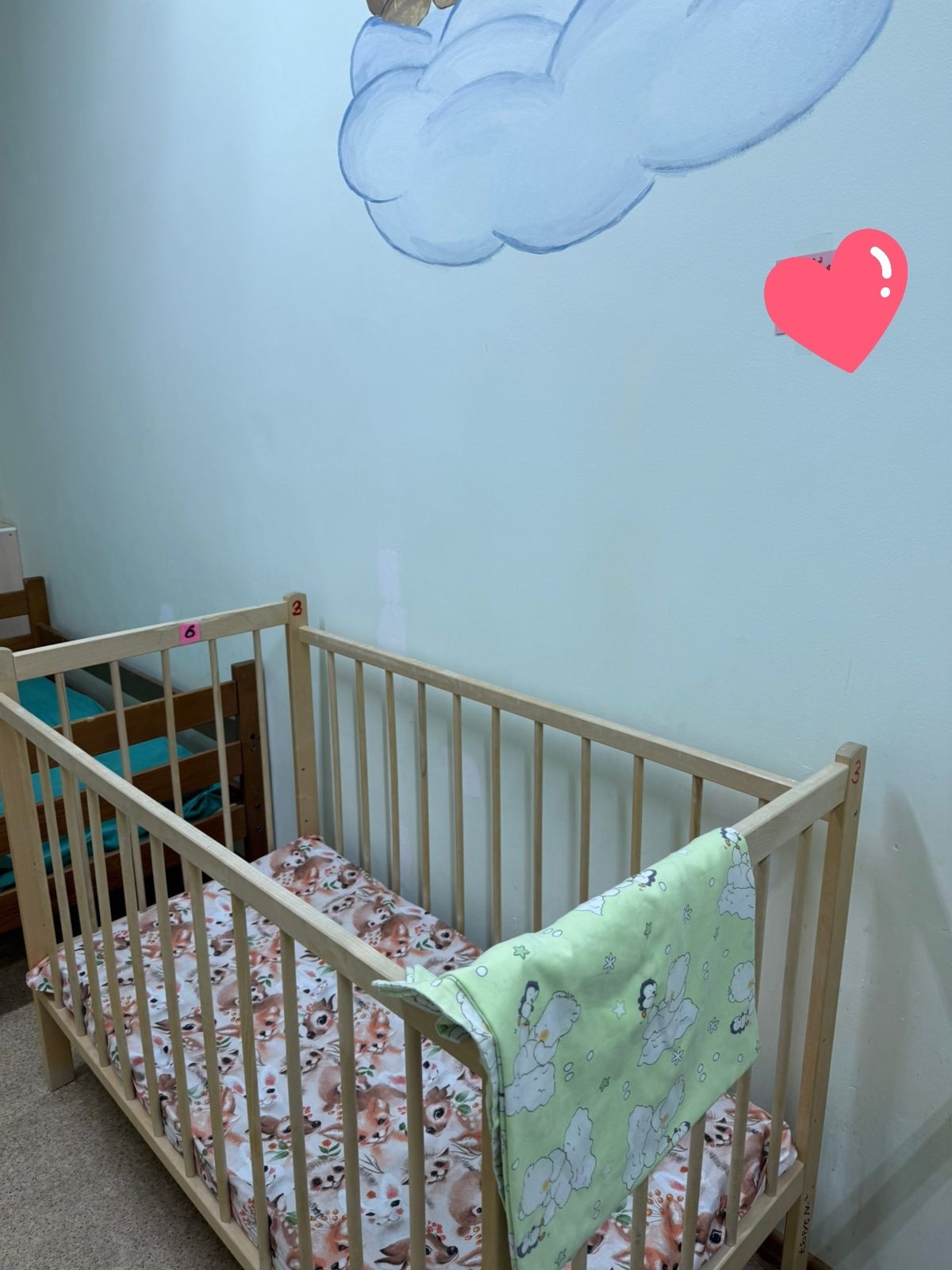 «Нужно переходить от карательной системы к политике семьесбережения» - детский омбудсмен высказалась после инцидента с годовалыми малышами