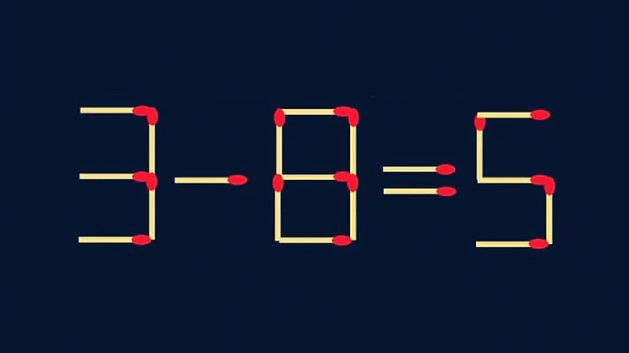 Незаслуженно забытое полушарие: идем на помощь мозгу — никакой сегрегации, в вашей голове обе части равны