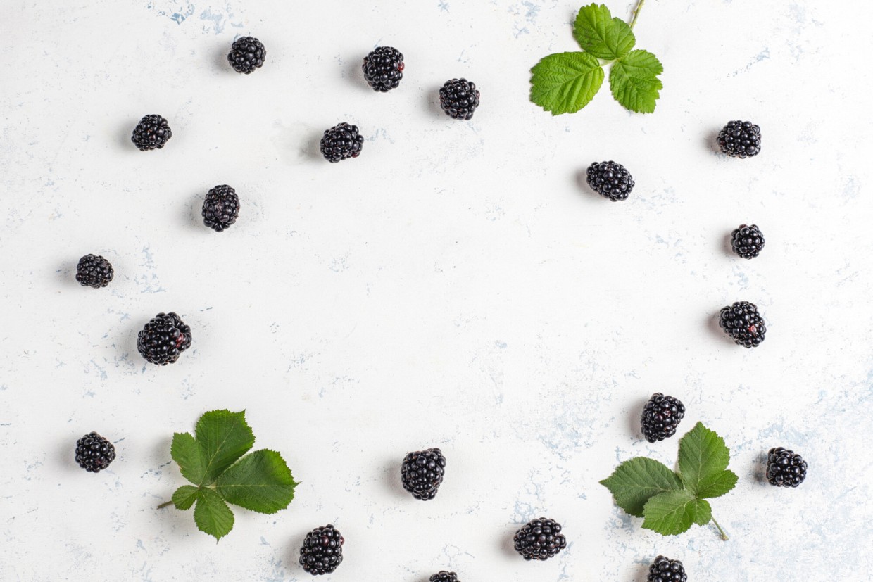 Чай с изюминкой: зачем вам нужны листья смородины, малины и мяты — бабушкин лайфхак для здоровья и вкуса