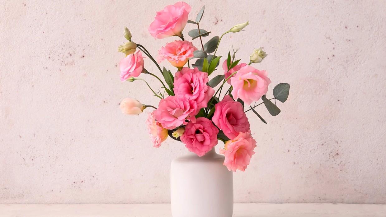 Пышным цветом: ваша эустома еще никогда не была так прекрасна — лайфхак, который превратит ее в главное украшение сада