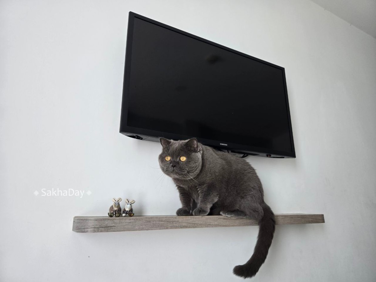 Как продать свою квартиру мэрии Якутска? Нельзя просто прийти в ДЖО…