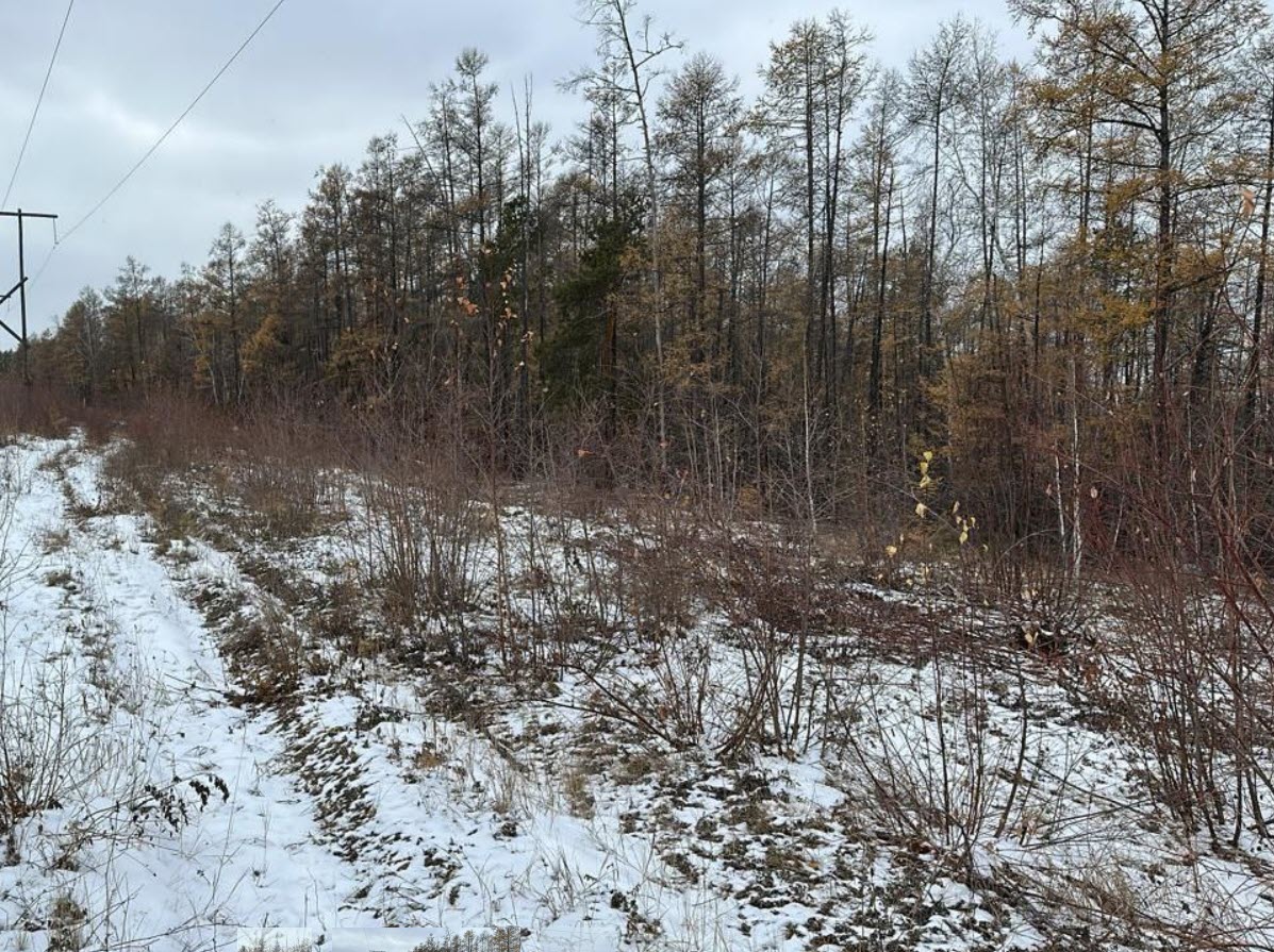 В Верхневилюйском улусе пропал охотник