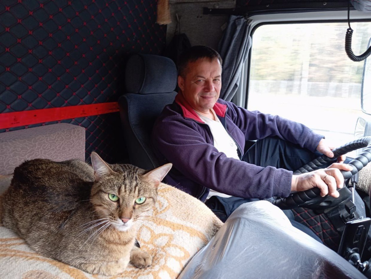 Как кот Федос выжил в поезде и вернулся домой через Якутию