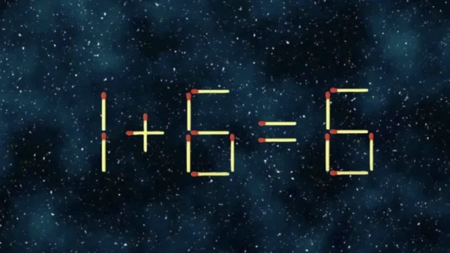 Интеллектуальная игра, которая заменит вам TikTok — такое хобби точно возвысит вас в глазах окружающих, оно для эрудитов