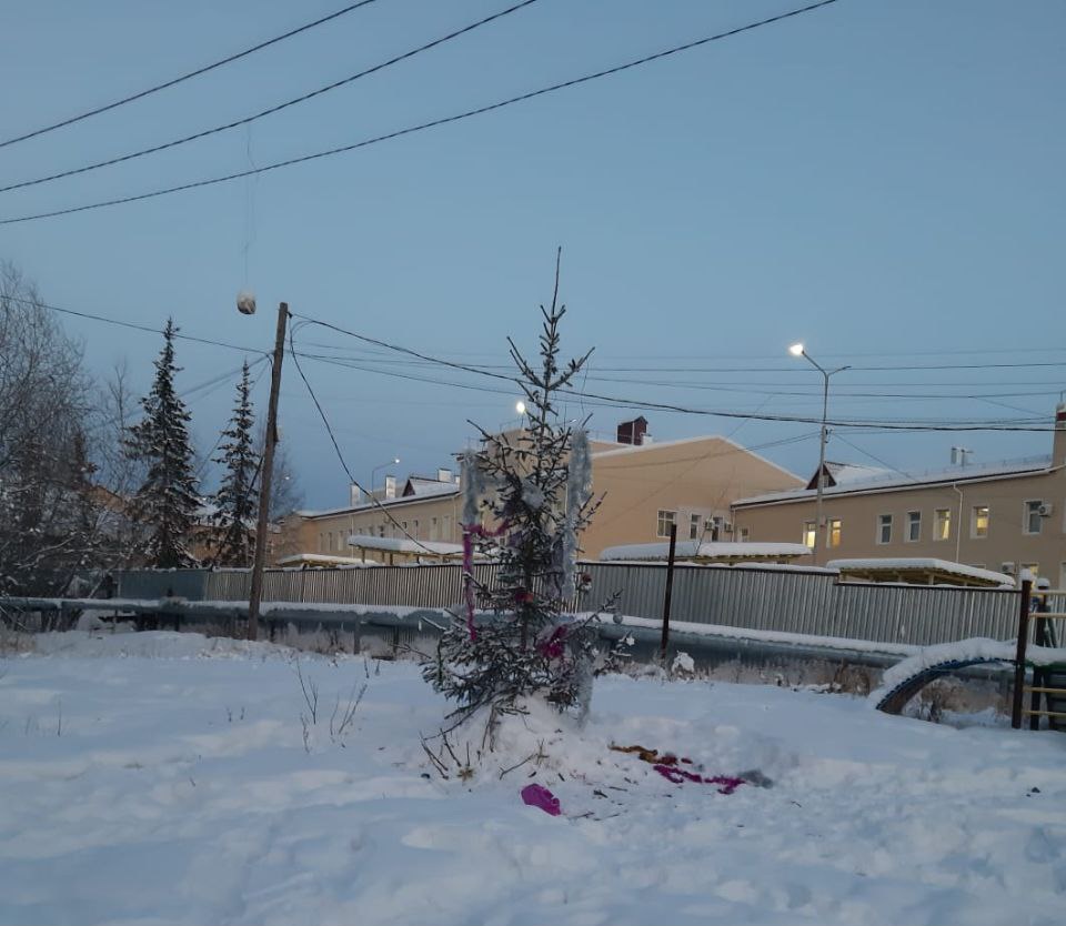 Олекминск отметился печальными новогодними елками