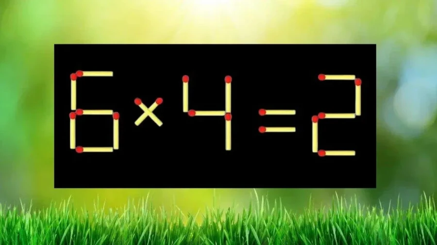 Да, вы на коне: мощная прокачка когнитивных навыков — 1 упражнение, и мозг вспотеет