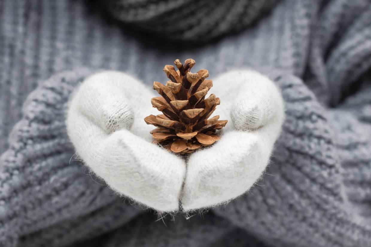 Первый месяц зимы. Кому — деньги, а кому — приключения... Гороскоп на декабрь для всех 12 знаков Зодиака!