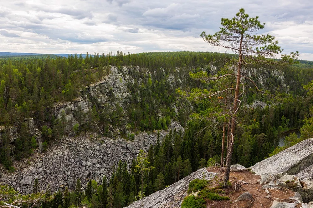Таинственная тайга — на такое приключение решится не каждый любитель походов и природы, 5 правил выживания в суровой среде