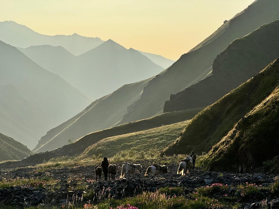Общинам КМНС начислили многомиллионные земельные налоги. В Ил Тумэне обсудили последствия изменений в Налоговом кодексе