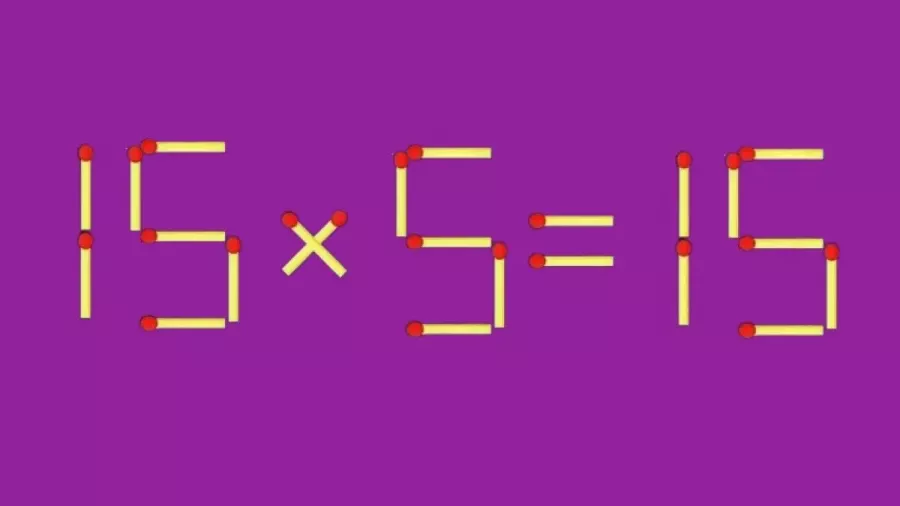 Ментальный фитнес для всех — размяться никогда не поздно и никогда не рано, поспешите взбодрить свои извилины