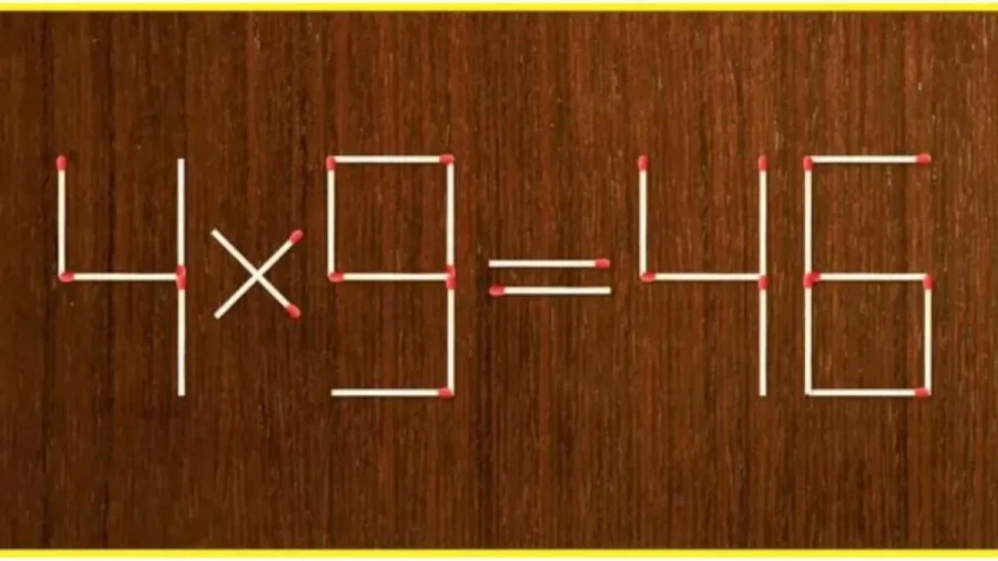 Не будьте дубиной: вы не глупы, просто не натренированы — но ничего, 1 упражнение вернет вашу сообразительность в строй