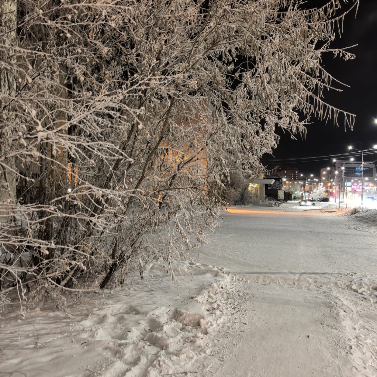 Прогноз погоды на декабрь по районам от народного синоптика Тарас Тарасова – Тускула