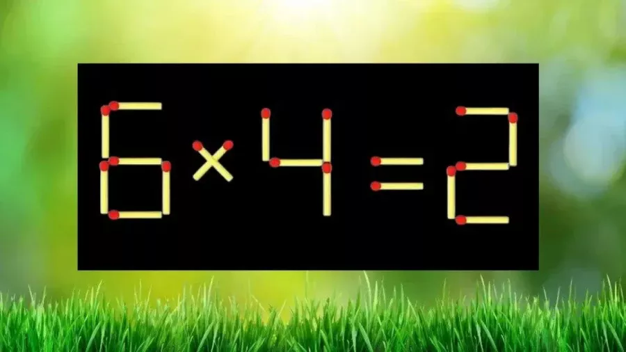 Да, вы на коне: мощная прокачка когнитивных навыков — 1 упражнение, и мозг вспотеет