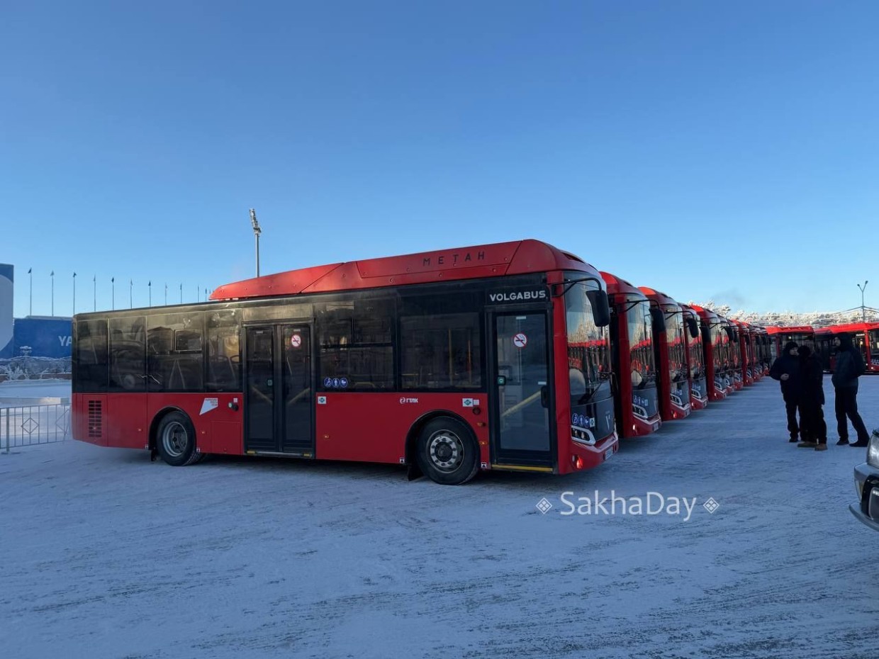 В Якутске определили, на какие маршруты выйдут 50 новых автобусов «Волгабас»