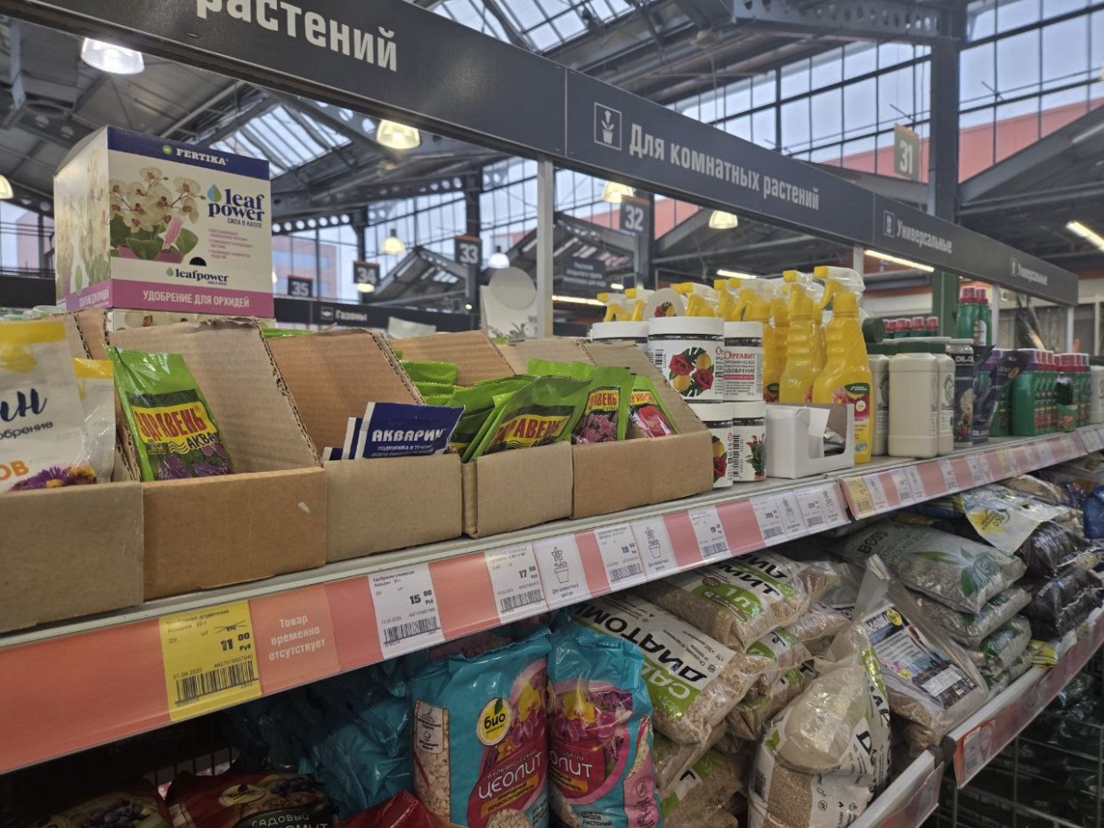 В четверг нельзя пересаживать, в пятницу — обрезать: лунный календарь цветовода на 28 — 31 января 2026 года