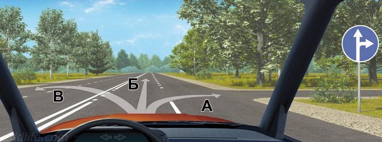 Знаки против разметки— что творится на городском перекрёстке: в этом вопросе 85% запутались во время экзамена по ПДД