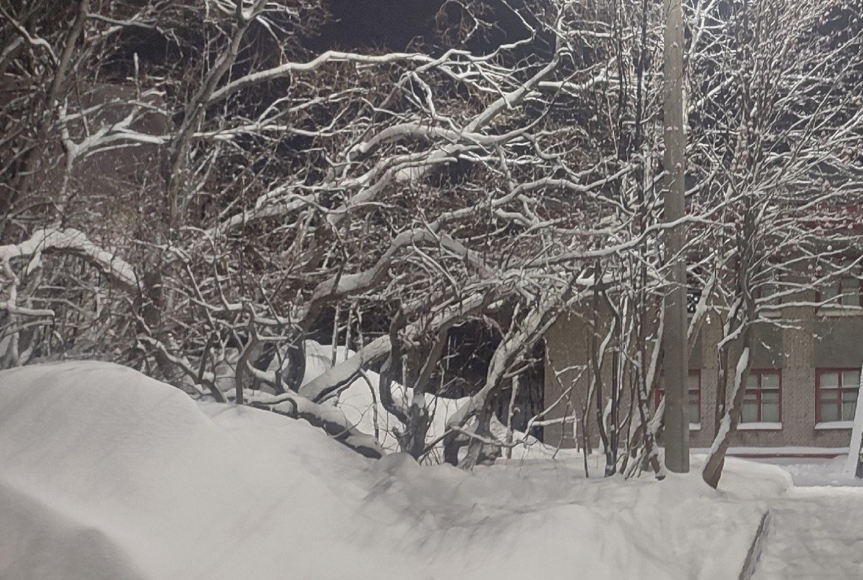 Почему в деревнях на Севере России не запирают двери и молчат за столом: 8 привычек, которые учат нас доверять миру