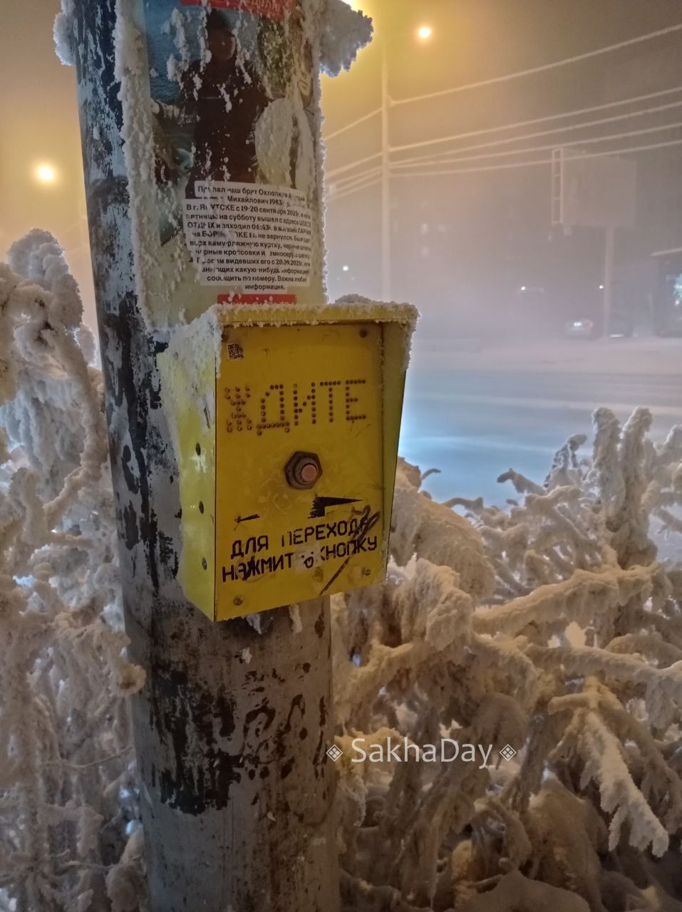 В Якутске запущен новый пешеходный режим работы светофоров