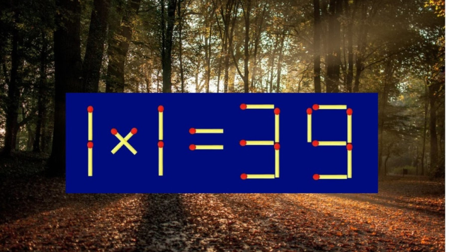 За Ариану Гранде головоломки решают лаборанты — сдвиньте одну спичку, чтобы найти ответ: на поиски есть всего лишь 19 секунд