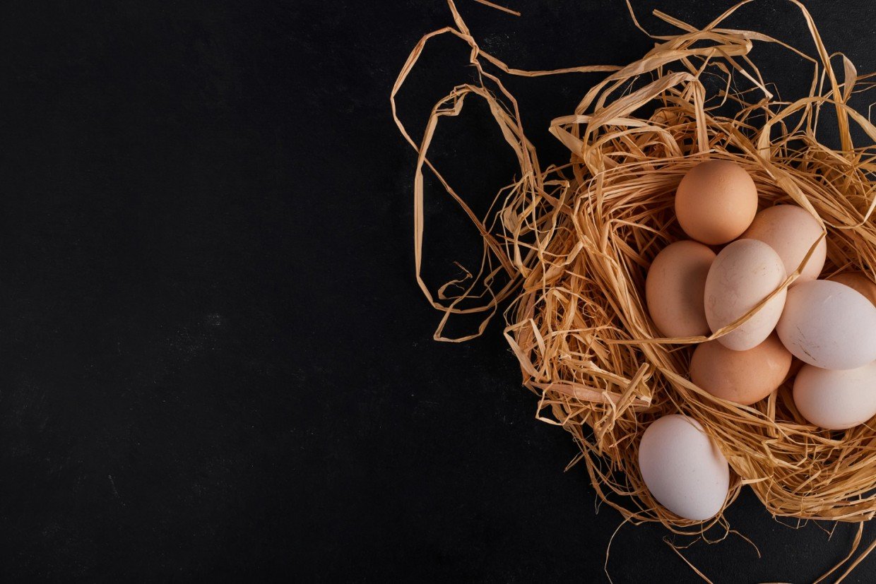 Яиц будет много даже в холода — вот 3 важных момента, которые надо учитывать, чтобы яйценоскость зимой оставалась высокой