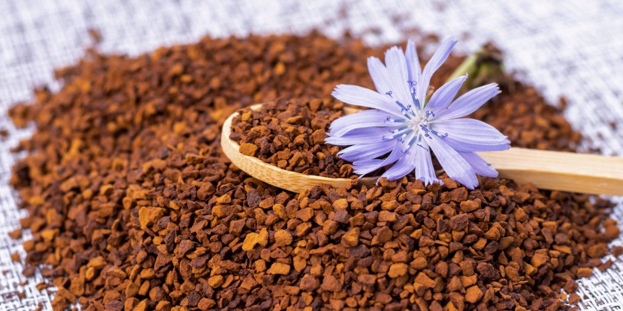 Утро начинается не с кофе — зачем пить цикорий и может ли он заменить чашечку ароматного американо