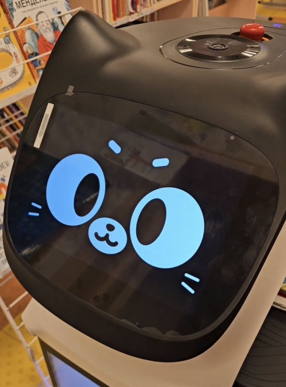 Фотофакт: в библиотеке Якутска появится умный робот-помощник