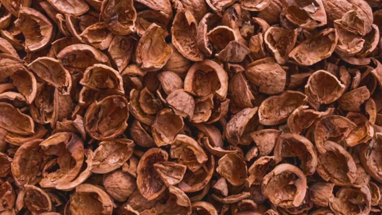 Не выкидывайте — это вам не мусор: в чём польза скорлупы от грецких орехов