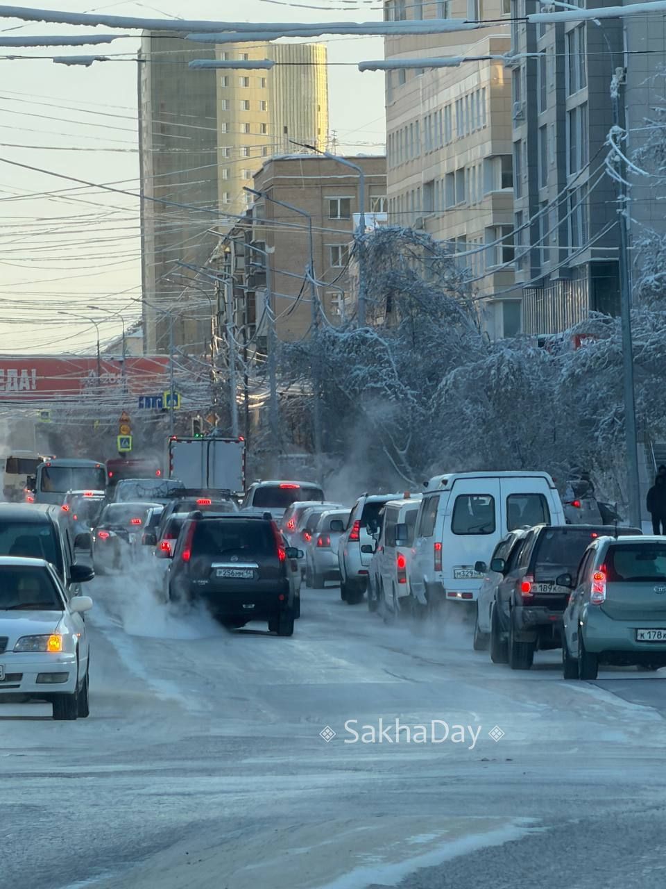 МВД разъяснило инициативу по предварительному тестированию водителей на наркотики