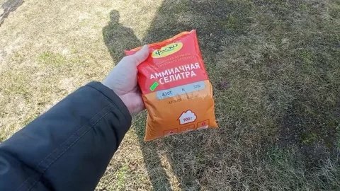 Азотный взрыв на грядках: как правильно использовать аммиачную селитру, чтобы не «сжечь» рассаду