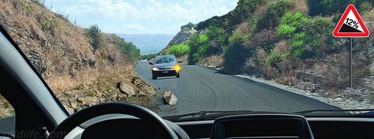 Спуск не преимущество, подъем не препятствие — ловушка на узкой дороге: кто уступает, на экзамене по ПДД 60% ответили неправильно