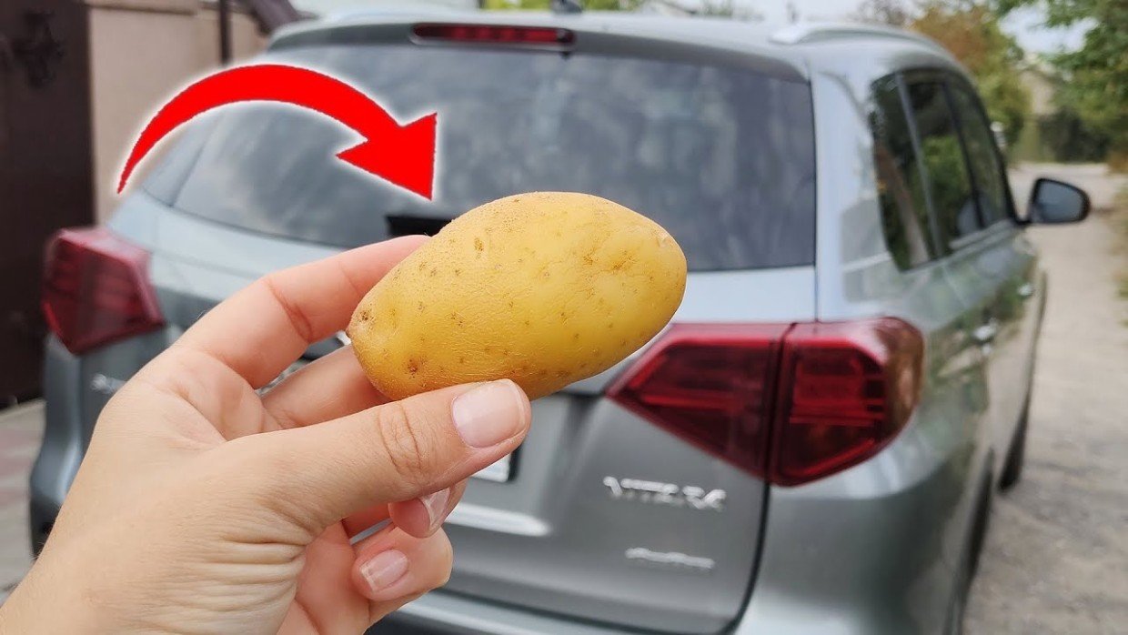 Дедовский способ превзошёл все ожидания: натёр стекло машины картошкой — и никакой «антидождь» не нужен