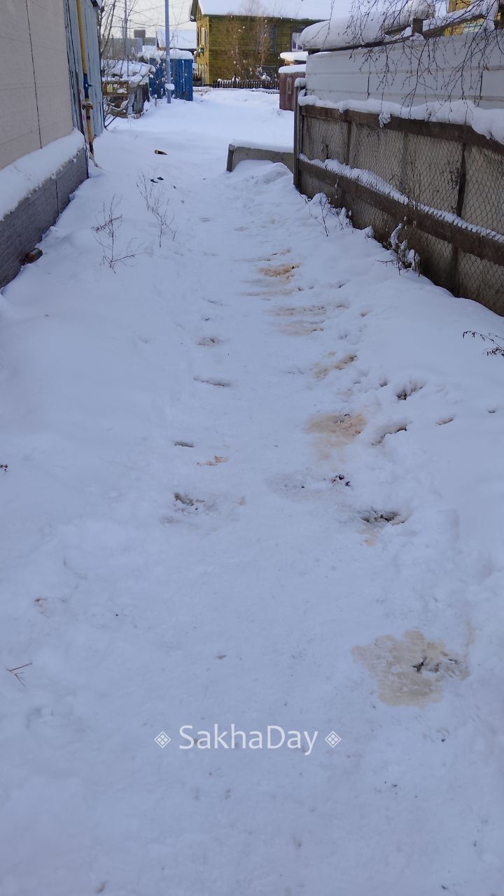 Жалобы жителей услышаны: на бар GreenLion завели дело