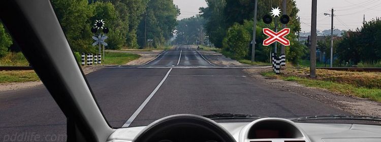 Бело-лунный сигнал на переезде — голова при этом тоже должна работать: на экзамене по ПДД 57% сомневаются