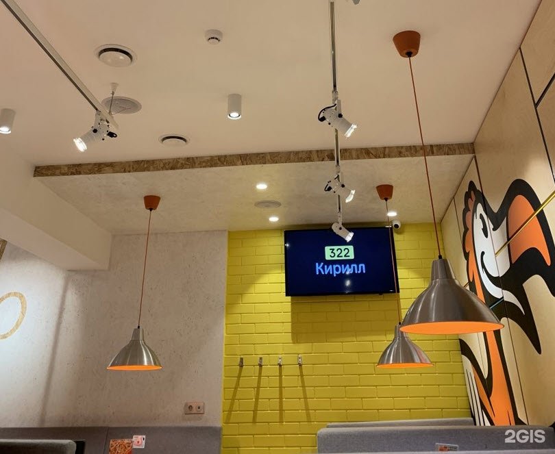 После скандала «Додо» станет pet-friendly. Пустят ли с собакой в пиццерии Якутска?