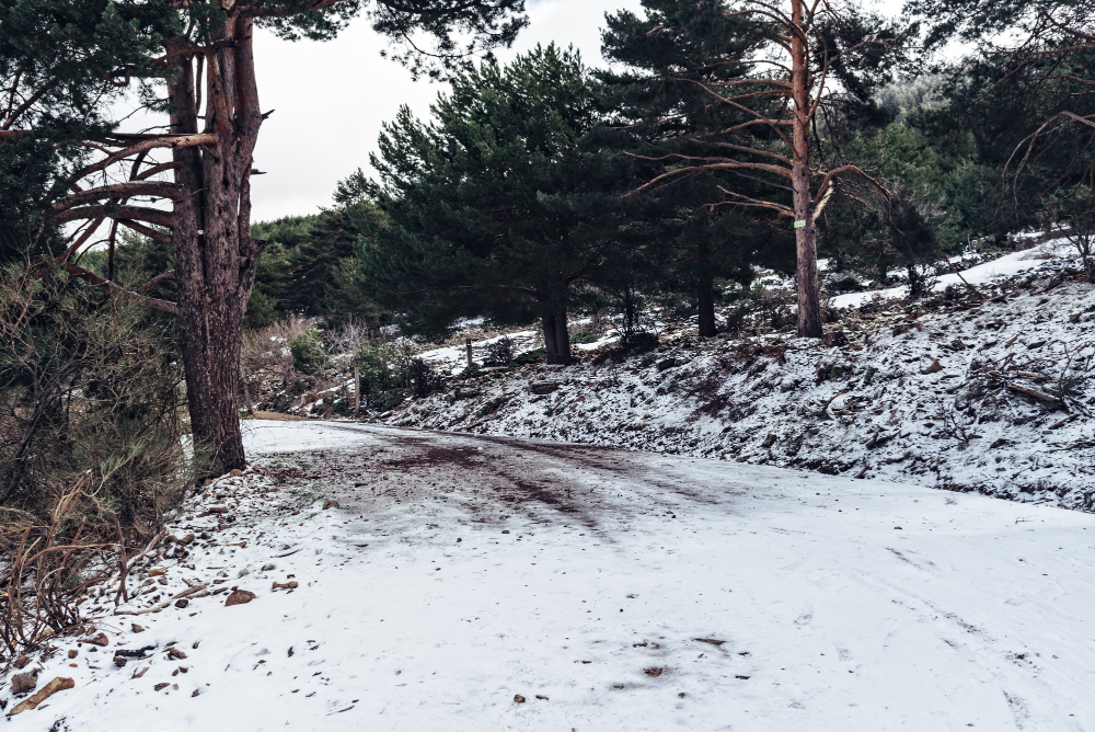 Скользкий участок дороги — реальная ситуация, в которой ошибка может стоить жизни: на экзамене 29 из 100 идут на пересдачу