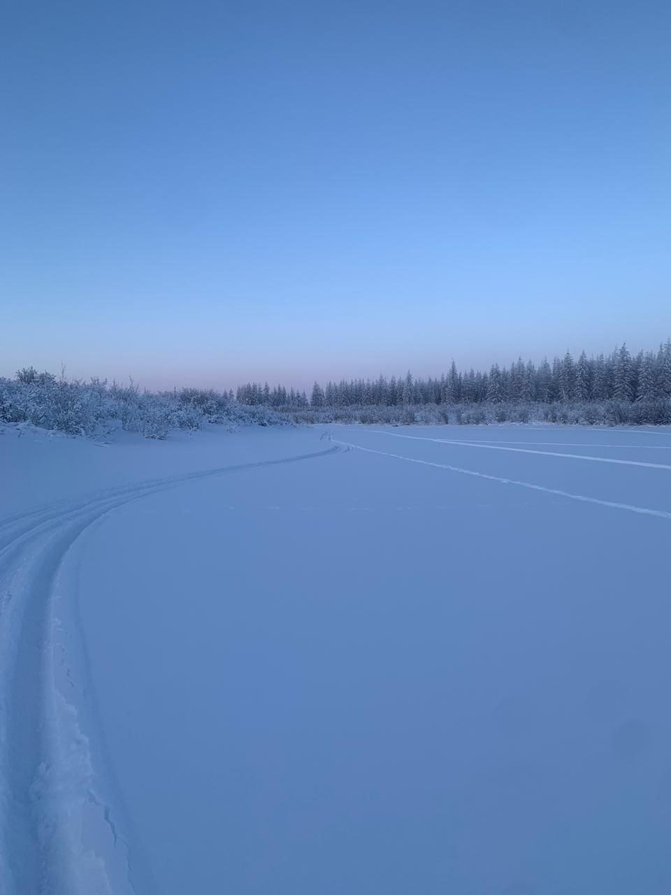 Спасатели нашли пострадавшего от укусов собаки в Нерюнгринском районе