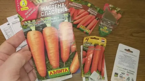 Сладкая, как мёд, и без сердцевины: 3 лучших сорта моркови, которые не подведут в 2026 году