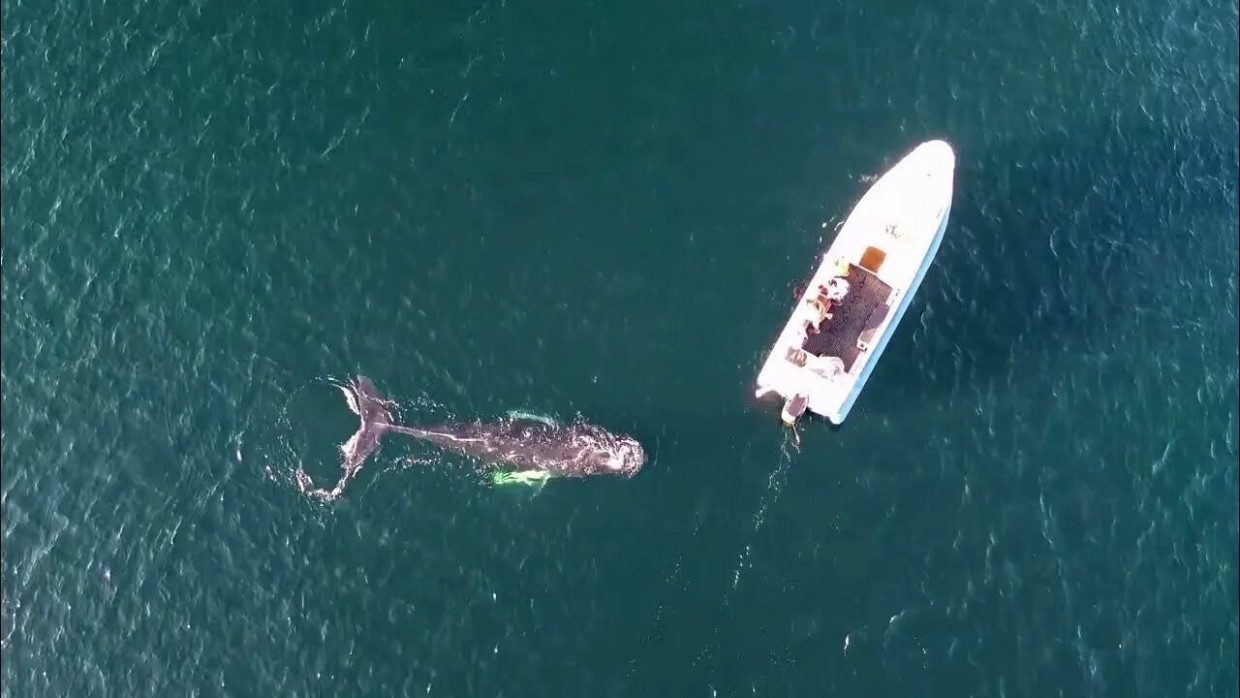 Маленький холодный рай: 3 места на Севере России — куда хочется возвращаться снова и снова