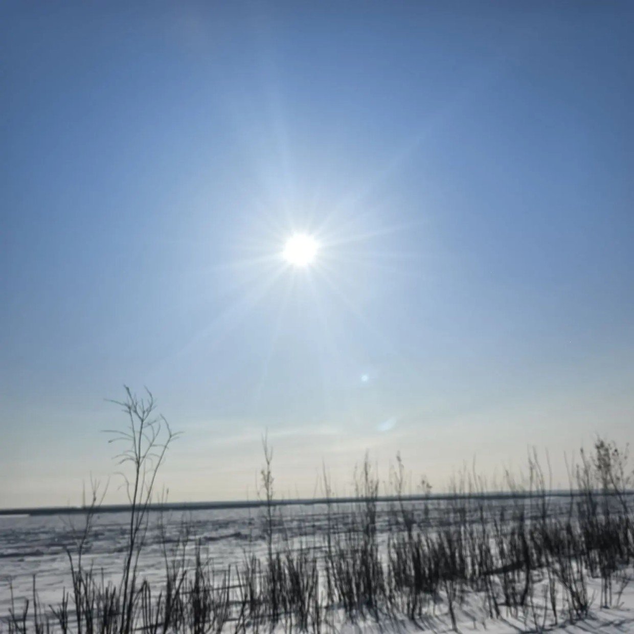 В марте будет снежно - прогноз от народного синоптика Тускула-Тараса Тарасова