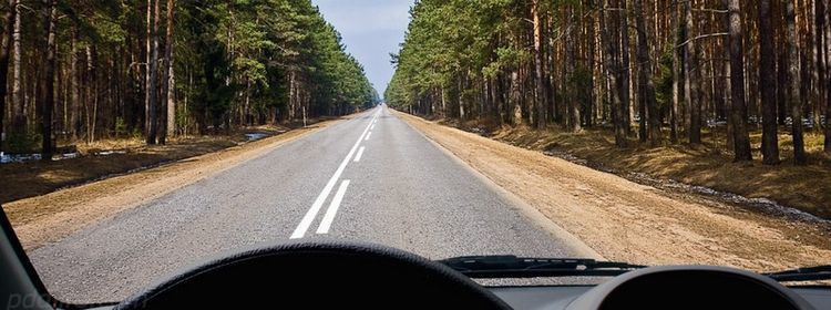 Вопрос с разметкой — не заградительная стена, а ловушка на внимательность: проверку знаний не прошли 39% отвечавших на экзамене по ПДД