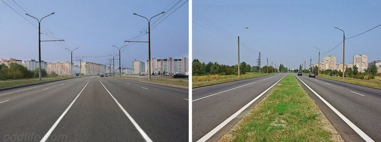 Разделительная полоса — газон, бордюр и ваши стереотипы: 37% на экзамене по ПДД попались в эту ловушку