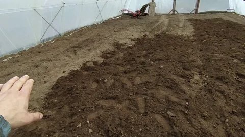 Забудьте про навоз: зачем опытные дачники скупают корм для рыб перед началом сезона