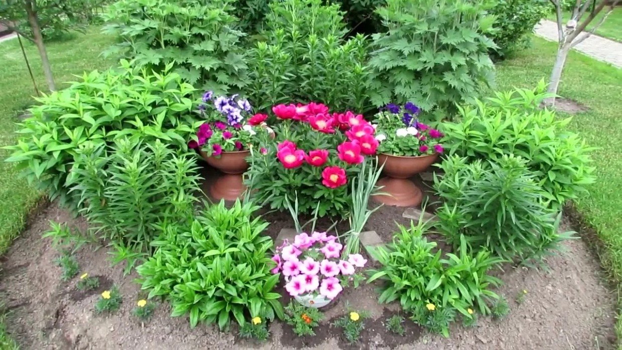 Цветочный календарь: подробный график посева цветов на рассаду в марте и апреле