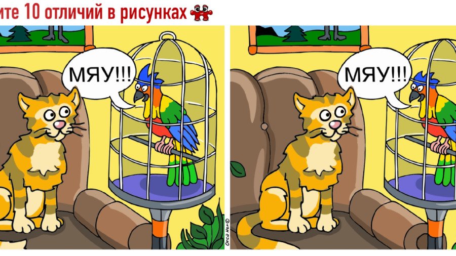 Тест на внимательность: найдите 10 отличий на картинке с говорящим попугаем, которые ставят в тупик даже отличников