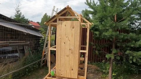 Деревья-насосы: что посадить рядом с дачным туалетом, чтобы забыть об откачке ямы